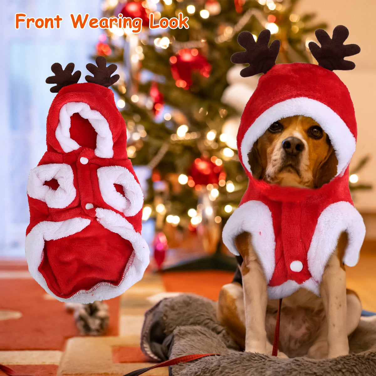 CJ holiday dog outfit — supplier gallery