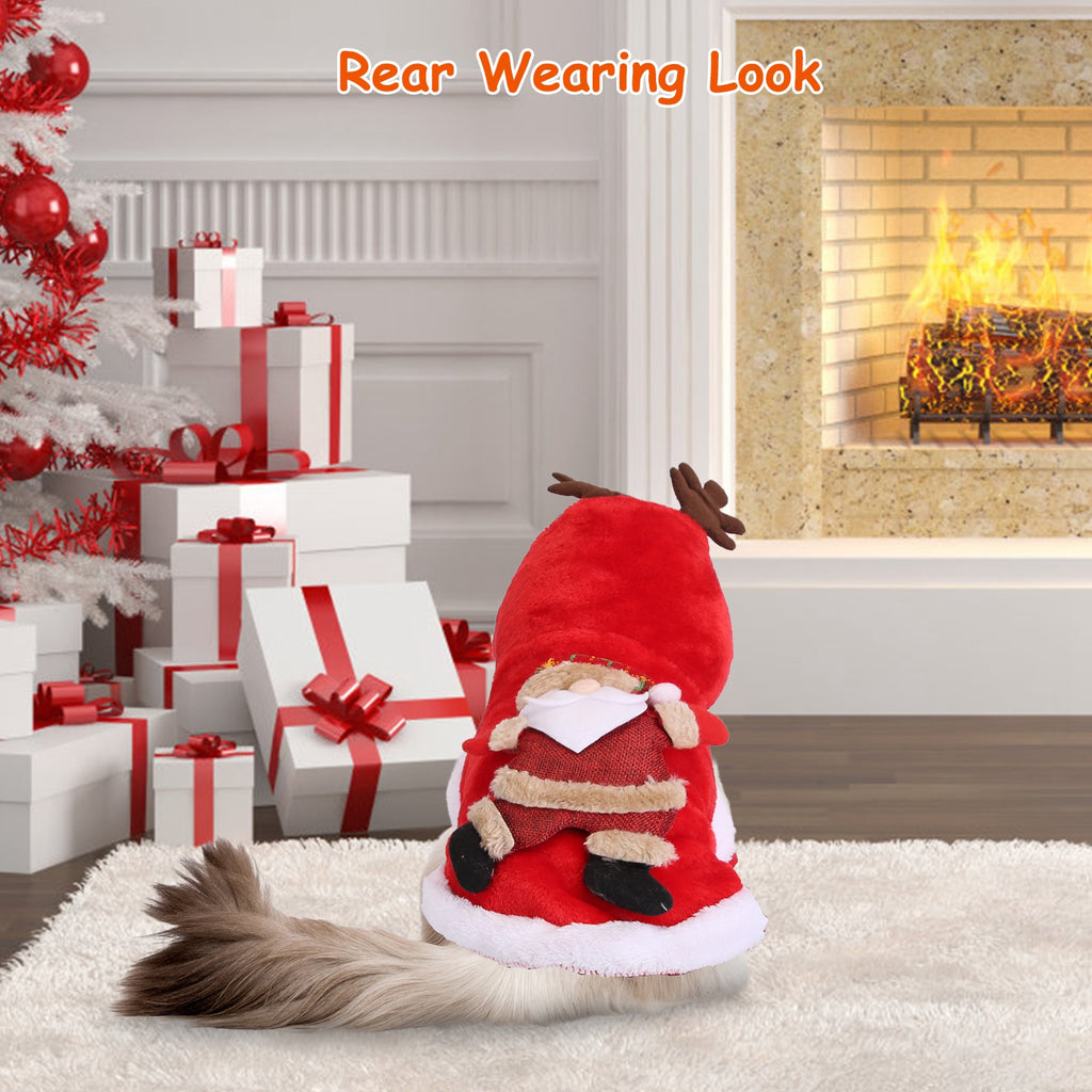 CJ holiday dog outfit — supplier gallery