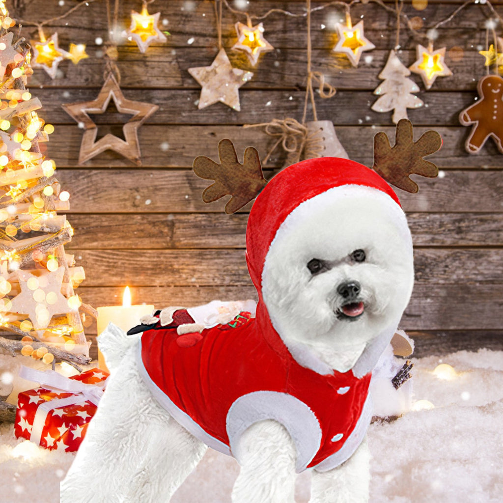 CJ holiday dog outfit — supplier gallery