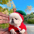 Apple fruit fleece dog hoodie