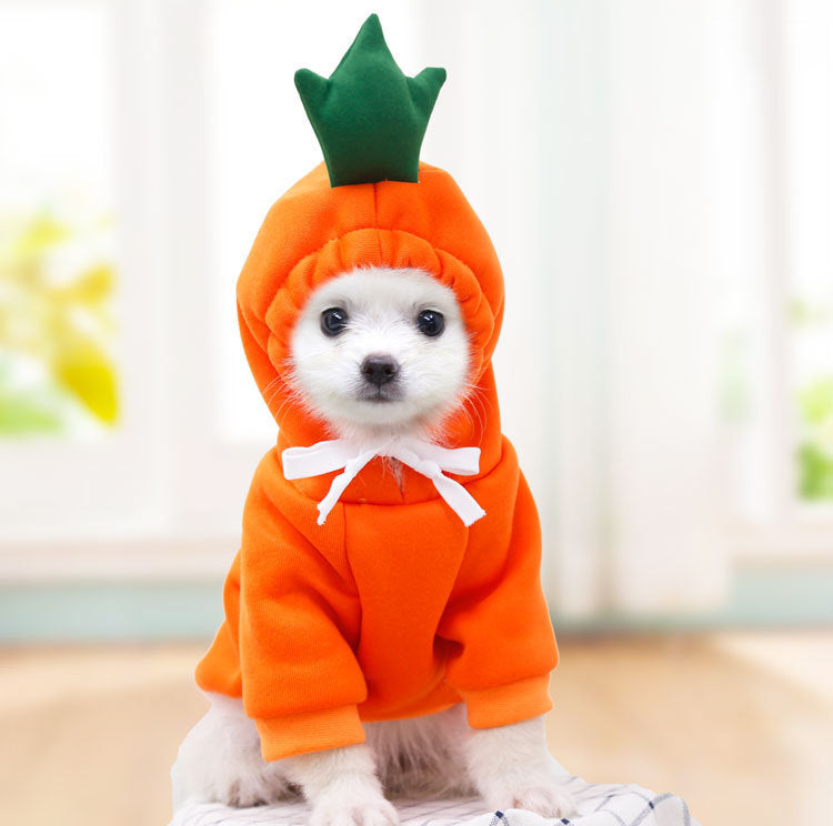Carrot fruit fleece dog hoodie