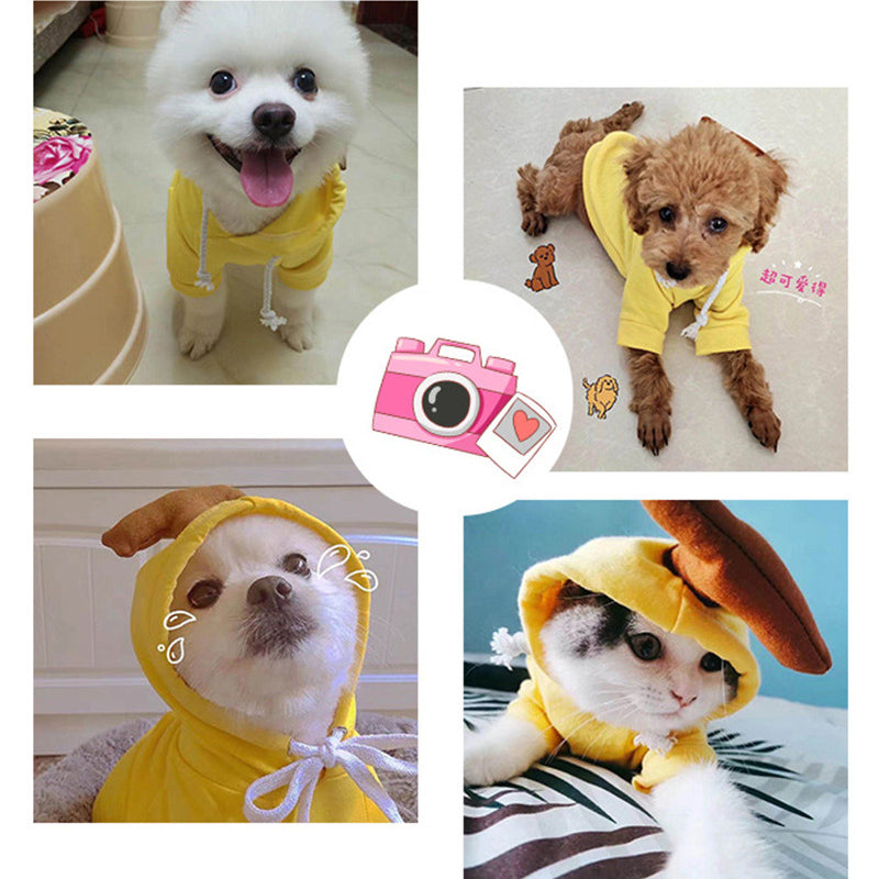 CJ fruit fleece dog hoodie — supplier gallery detail