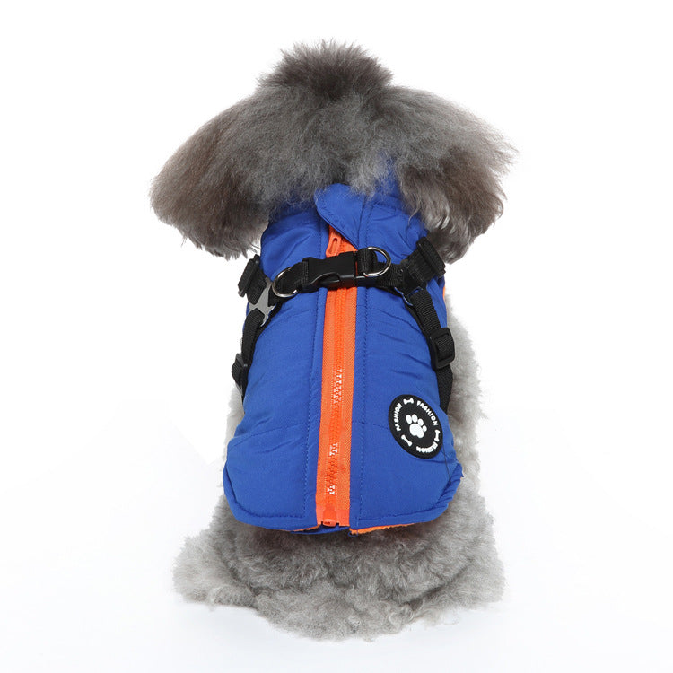 Blue padded dog jacket on a dog