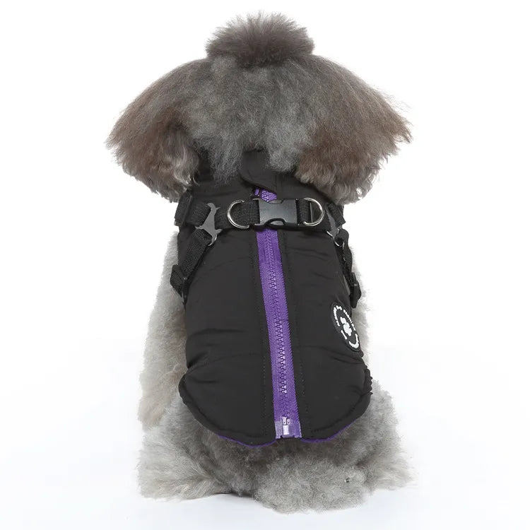 CJ padded winter jacket — supplier product detail