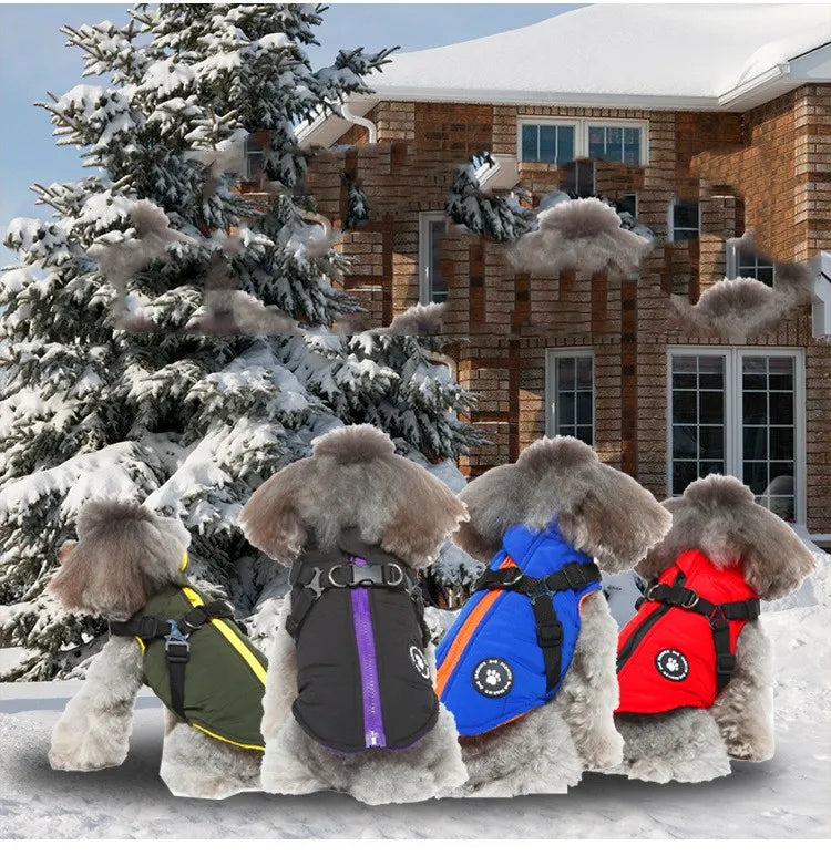 CJ padded winter jacket — supplier product detail